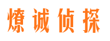 合阳市私家侦探